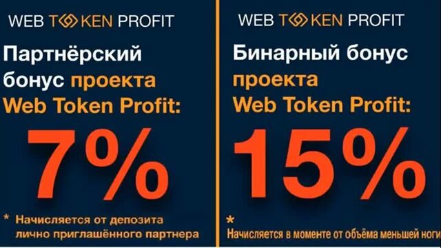 web token profit короткая презентация.mp4